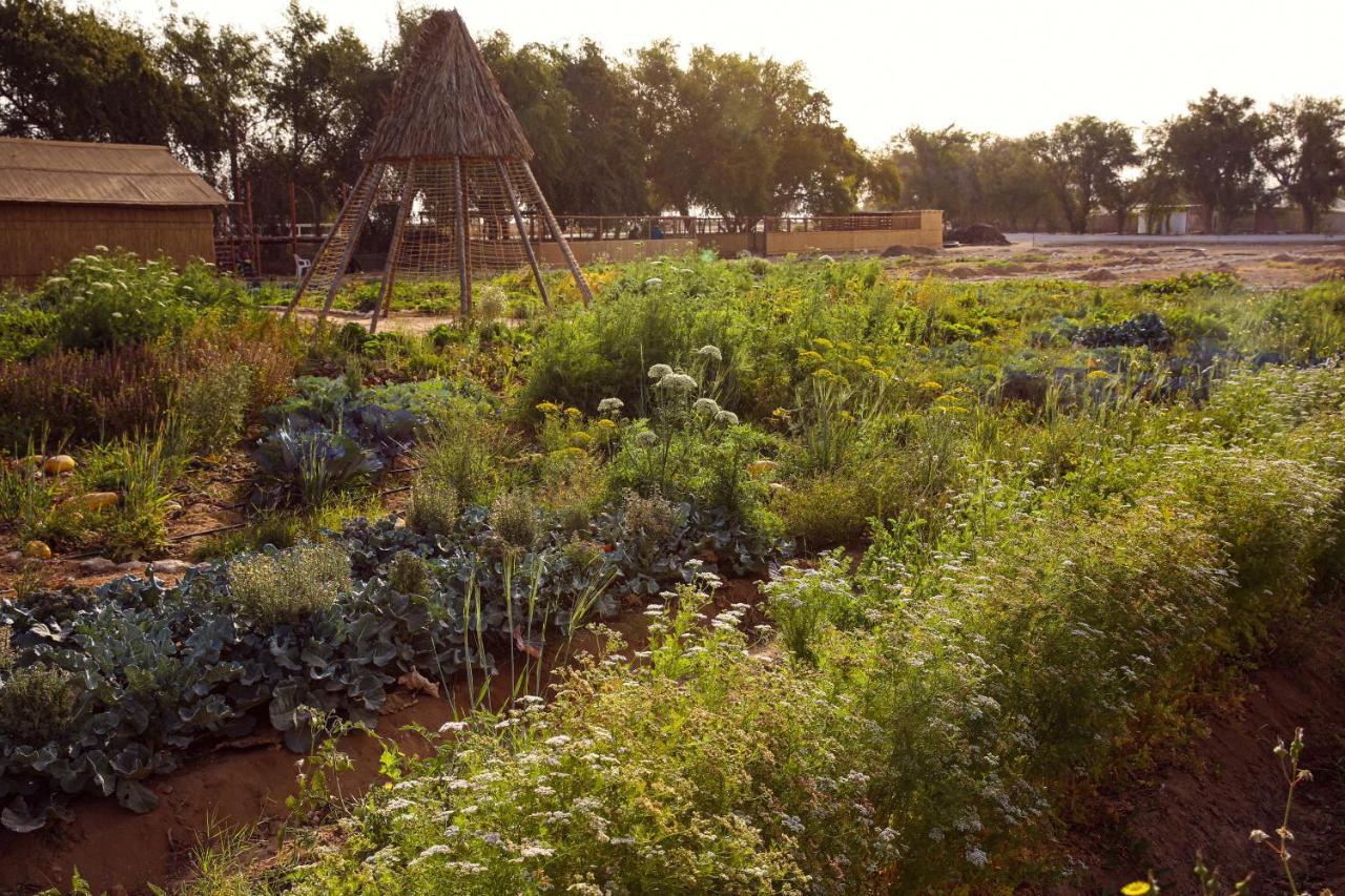 Heenat Salma Farm Ash-Shahaniyah 外观 照片