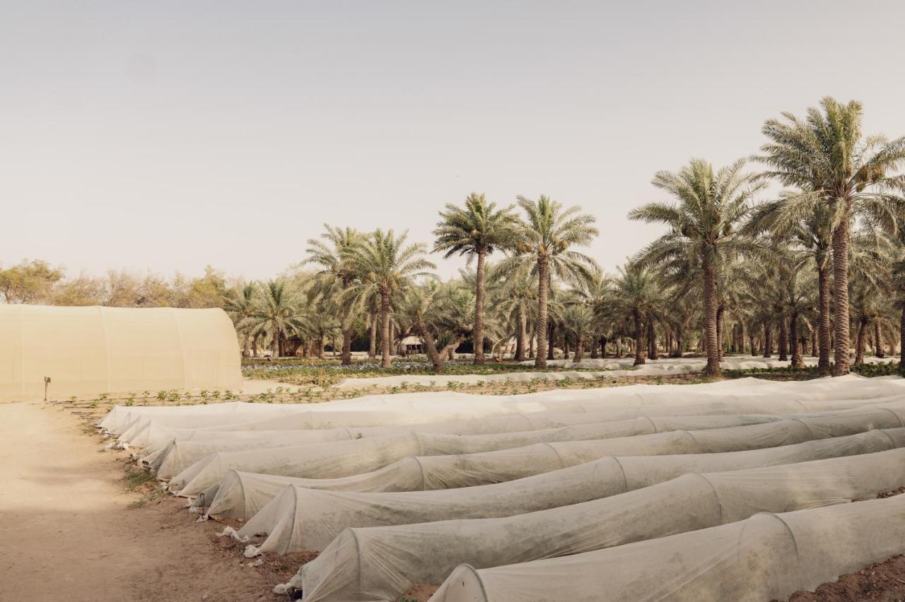 Heenat Salma Farm Ash-Shahaniyah 外观 照片